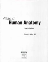 atlas human anatomy NETTER.pdf